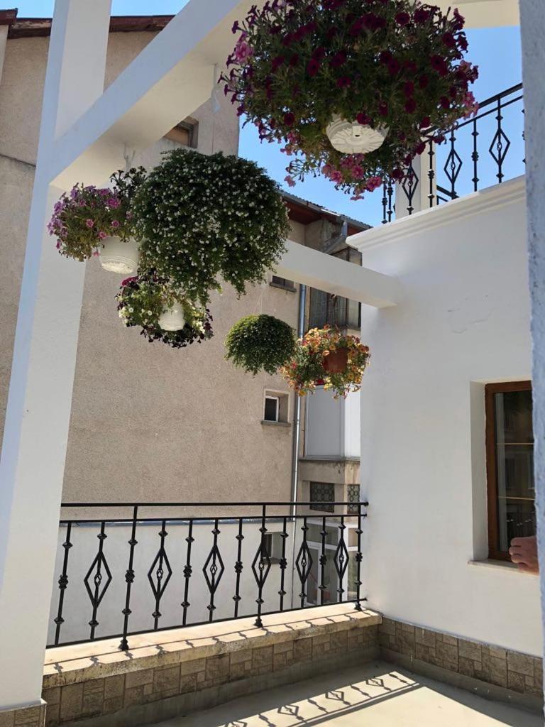 Pensiunea Vila Europa Deva Exterior foto