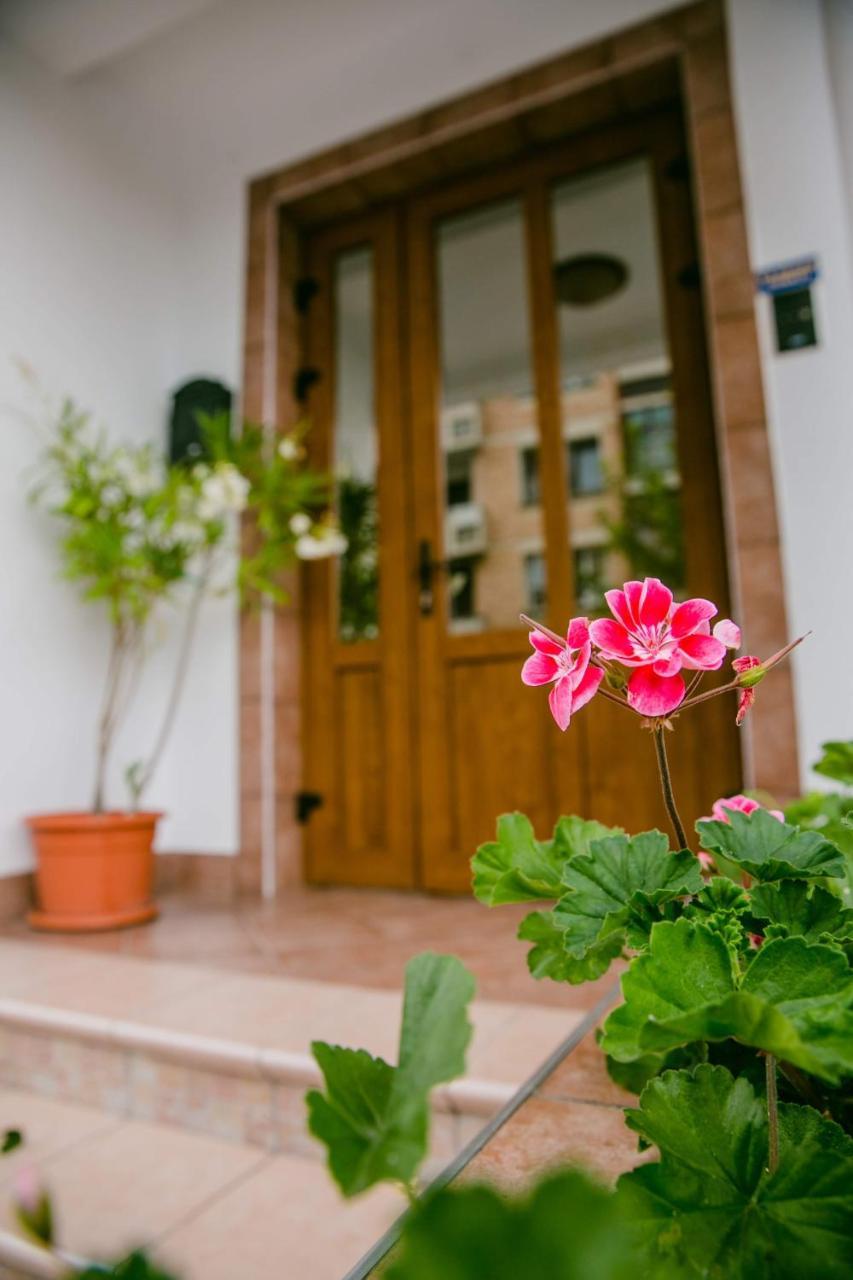 Pensiunea Vila Europa Deva Exterior foto
